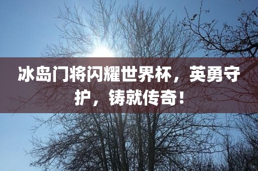 冰岛门将闪耀世界杯，英勇守护，铸就传奇！广西贺州市华昌新材料有限公司