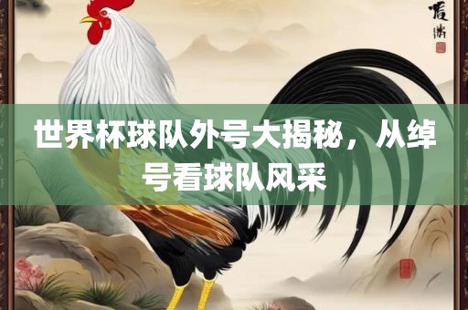 huamei 第5页