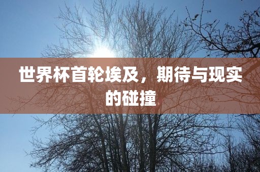世界杯首轮埃及，期待与现实的碰撞广西贺州市华昌新材料有限公司
