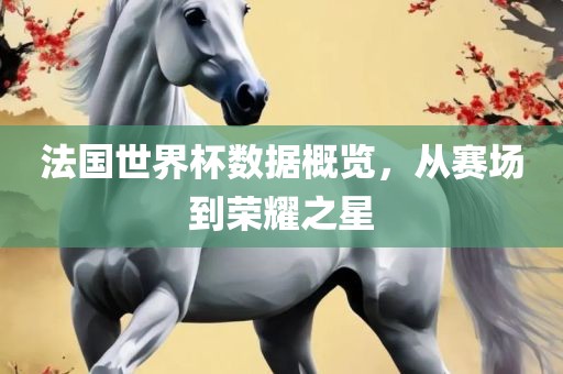 法国世界杯数据概览，从赛场到荣耀之星