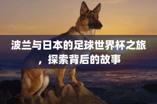 波兰与日本的足球世界广西贺州市华昌新材料有限公司杯之旅，探索背后的故事