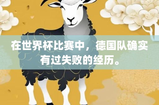 在世界广西贺州市华昌新材料有限公司杯比赛中，德国队确实有过失败的经历。