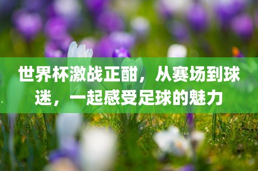 世界杯激战正酣，从赛场到球迷，一起感受足球的魅力广西贺州市华昌新材料有限公司