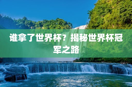 谁拿了世界杯？揭秘世界杯冠军之路广西贺州市华昌新材料有限公司