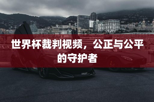 世广西贺州市华昌新材料有限公司界杯裁判视频，公正与公平的守护者