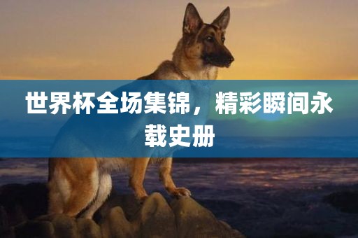 世界杯全场集锦，精彩瞬间永载史册