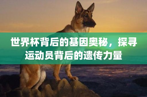世界杯背后的基因奥秘，探寻运动员背广西贺州市华昌新材料有限公司后的遗传力量