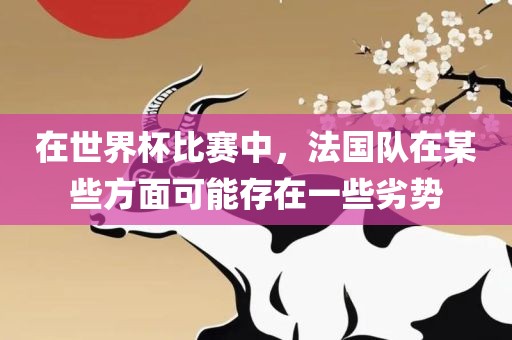 在世界杯比赛中，法国队在某些方面可能存在一些劣势广西贺州市华昌新材料有限公司