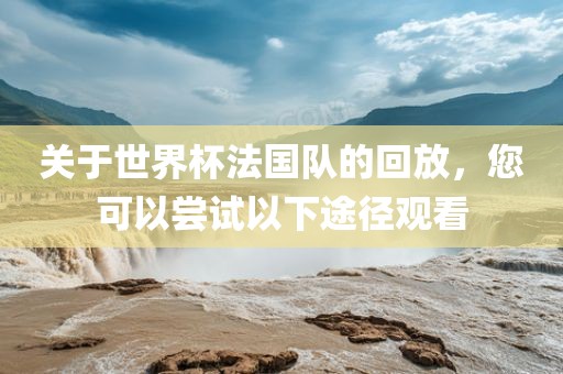 关于世界杯法国队的回放，您可以尝试以下途径观看