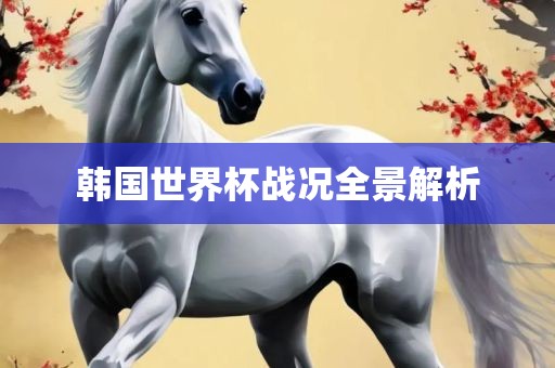 韩国世界杯战况全景解析