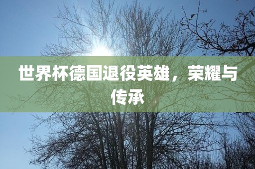 世界杯德国退役英雄，荣耀与传承