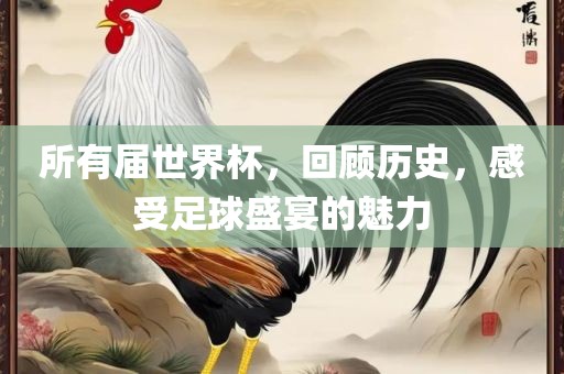 所有届世界杯广西贺州市华昌新材料有限公司，回顾历史，感受足球盛宴的魅力