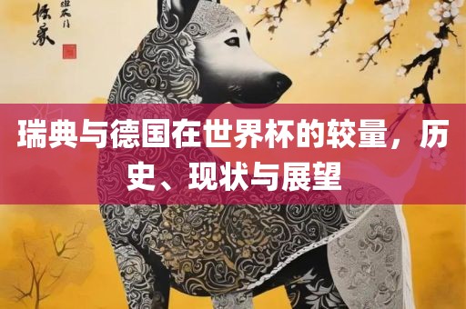 瑞典与德国在世界杯的较量，历史、现状与展望广西贺州市华昌新材料有限公司