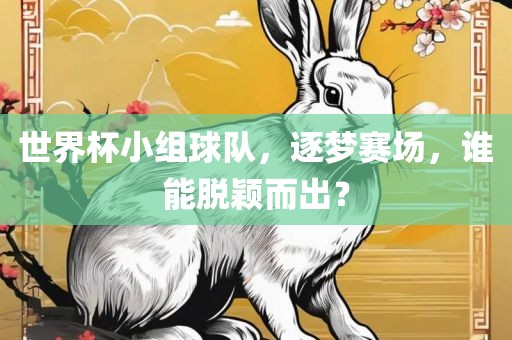 世界杯小组球队，逐梦赛场，谁能脱颖而出？