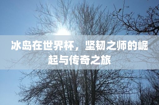 冰岛在世界杯，坚韧之师的崛起与传奇之旅广西贺州市华昌新材料有限公司