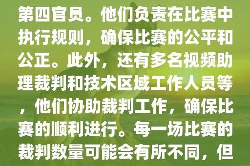 世界杯足球赛的裁判包括一名主裁判、两名助理裁判和一名第四官员。他们负责在比赛中执行规则，确保比赛的公平和公正。此外，还有多名视频助理裁判和技术区域工作人员等，他们协助裁判工作，确保比赛的顺利进行。每一场比赛的裁判数量可能会有所不同，但通常会有多名裁判共同协作以确保比赛的公正和顺利进行。广西贺州市华昌新材料有限公司