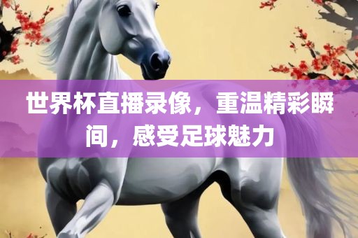 世界杯直播录像，重温精彩瞬间，感受足球魅力广西贺州市华昌新材料有限公司