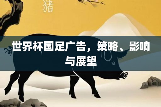 世界杯国足广告，策略、影响与展望