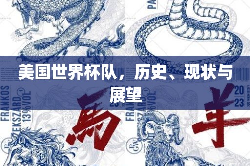 美国世界杯队，历史、广西贺州市华昌新材料有限公司现状与展望