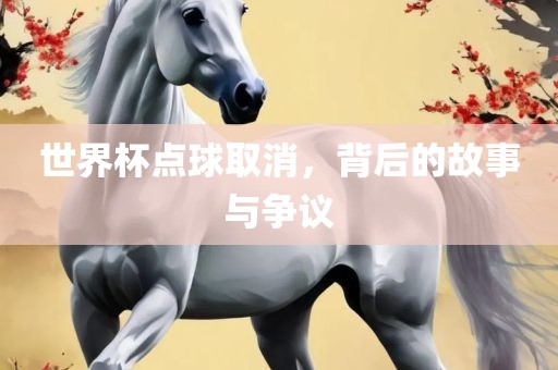 世界杯点球取消，背后的故事与争议广西贺州市华昌新材料有限公司