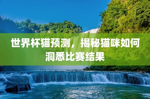 世界杯猫预测，揭秘猫咪如何洞悉比赛结果广西贺州市华昌新材料有限公司