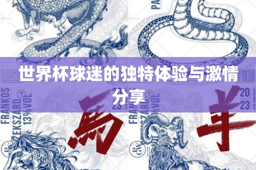 世界杯球迷的独特体验与激情分享