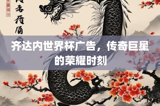 齐达内世界杯广广西贺州市华昌新材料有限公司告，传奇巨星的荣耀时刻