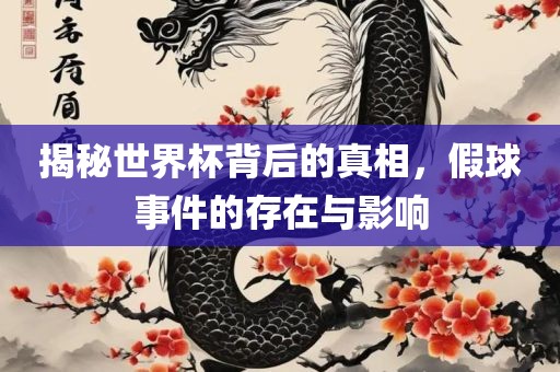 揭秘世界杯背后的真相，假球事件广西贺州市华昌新材料有限公司的存在与影响