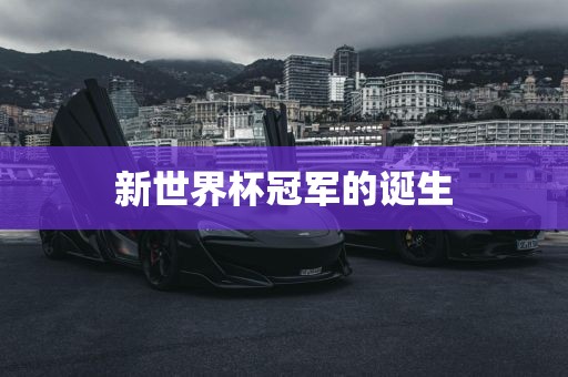新世界杯冠军的诞生广西贺州市华昌新材料有限公司