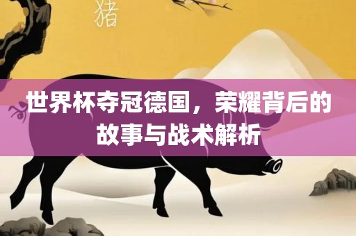 世界杯夺冠德国，荣耀背后的故事与战术解析广西贺州市华昌新材料有限公司