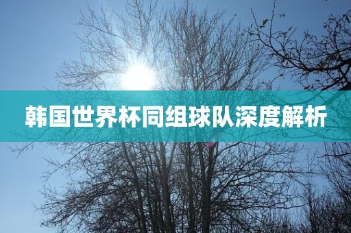 韩国世界杯同组球队深度解析广西贺州市华昌新材料有限公司
