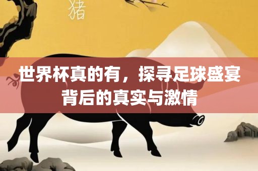 世界杯真的有，探寻足球盛宴背后的真实与激情广西贺州市华昌新材料有限公司