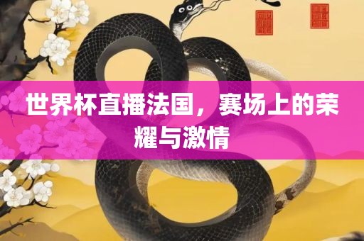 世界杯直播法国，赛场上的荣耀与激情