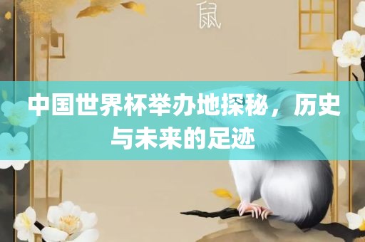 中国世界杯举办地探秘，历史与未来的足迹