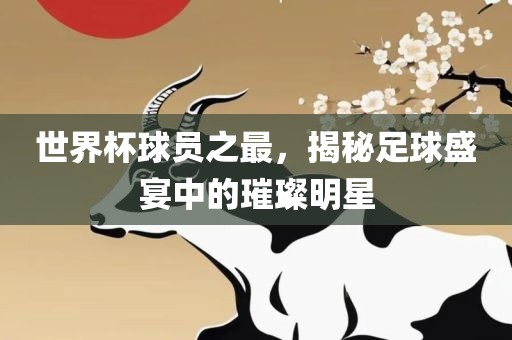 世界杯球员之最，揭秘足球盛宴中的璀璨明星广西贺州市华昌新材料有限公司