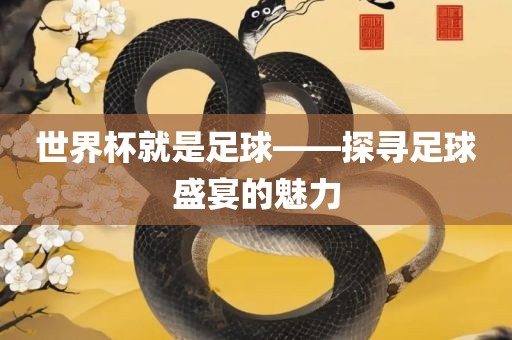 世界杯就是足球——探寻足球盛宴的魅力广西贺州市华昌新材料有限公司