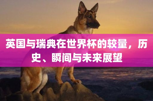 英国与瑞典在世界杯的较量，历史、瞬间与未来展望广西贺州市华昌新材料有限公司