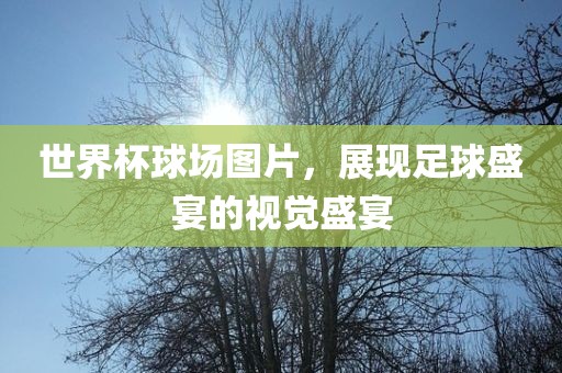 世界杯球场图片，展现足球盛宴的视觉盛宴