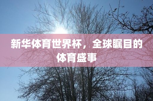 新华体育世界杯，全球瞩目的体育盛事广西贺州市华昌新材料有限公司
