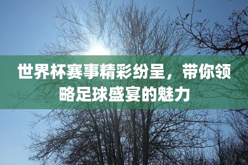 世界杯赛事精彩纷呈，带你领略足球盛宴的魅力广西贺州市华昌新材料有限公司