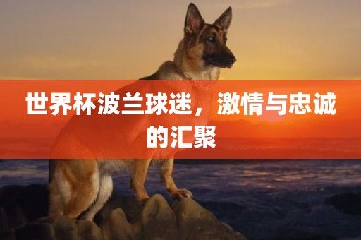 世界杯波兰球迷，激情与忠诚的汇聚广西贺州市华昌新材料有限公司