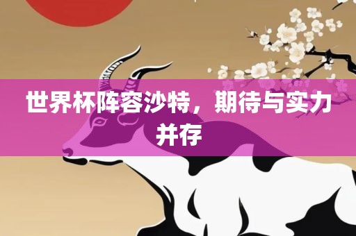 世界杯阵容沙特，期待与实力并存广西贺州市华昌新材料有限公司