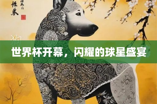 世界杯开幕，闪耀的球星盛宴广西贺州市华昌新材料有限公司