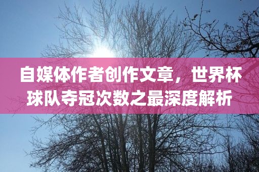 自媒体作者创作文章，世界杯球队夺冠次数之最深度解析广西贺州市华昌新材料有限公司