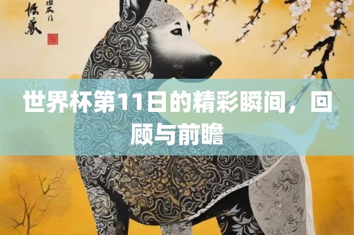 世界杯第11日的精彩瞬间，回顾与前瞻