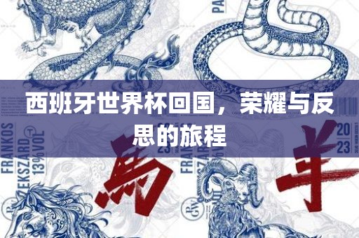 西班牙世界杯回国，荣耀与反思的旅程