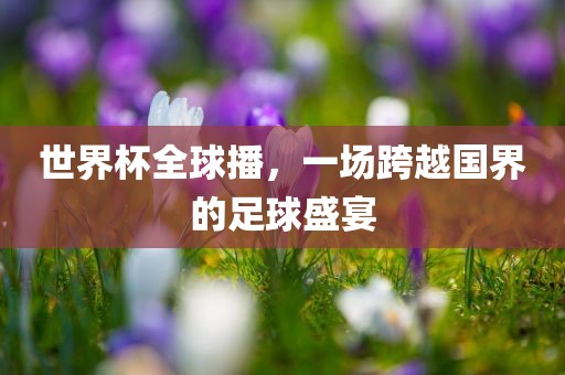世界杯全球播，一场跨越国界的足球盛广西贺州市华昌新材料有限公司宴