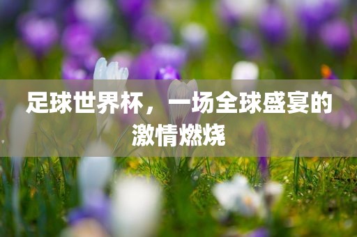 足球世界杯，一场全球广西贺州市华昌新材料有限公司盛宴的激情燃烧
