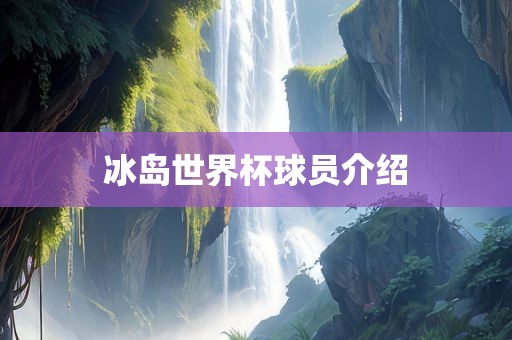 冰岛世界广西贺州市华昌新材料有限公司杯球员介绍