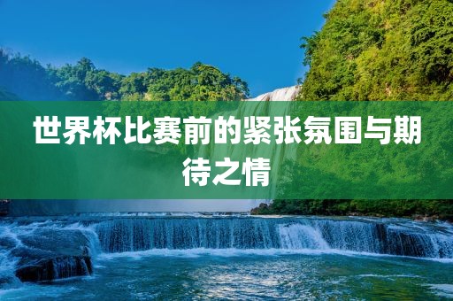 世界杯比赛前的紧张氛围与期待之情广西贺州市华昌新材料有限公司